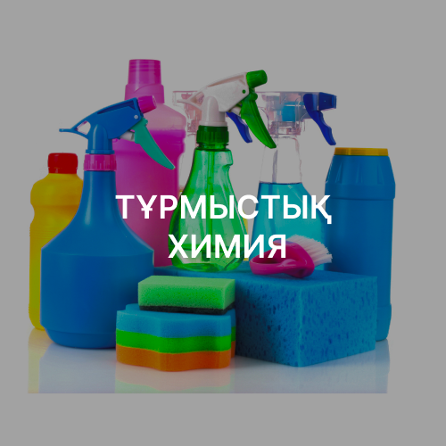 ТҰРМЫСТЫҚ ХИМИЯ