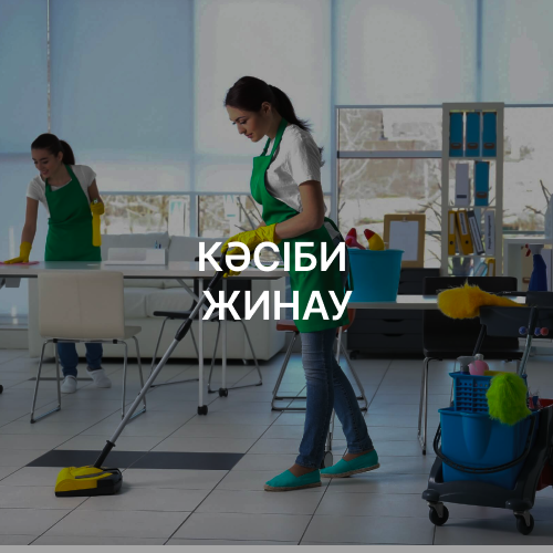 КӘСІБИ ЖИНАУ