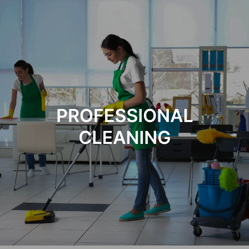 Professional Cleaning